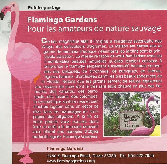 Flamingo Garden & Richard's motel