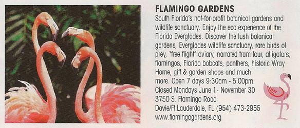 Flamingo Gardens