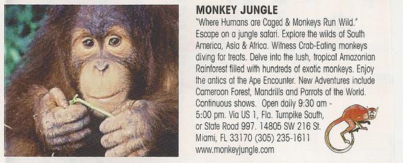 Monkey Jungle