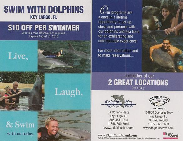swim with the dolphin